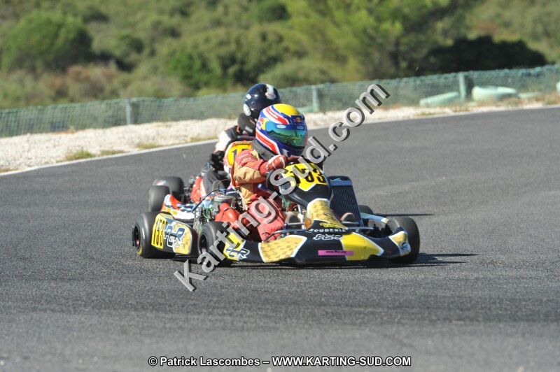 DSC (2684).JPG
